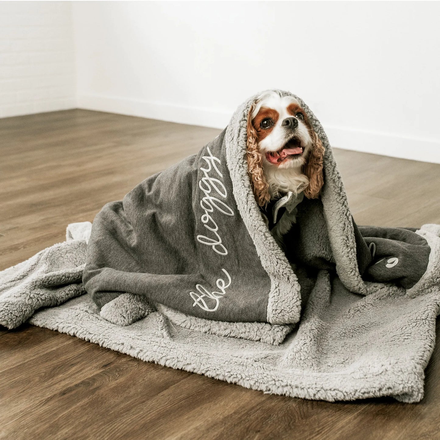 Wag & Wonder Cozy Fleece Pet Blanket 54x60