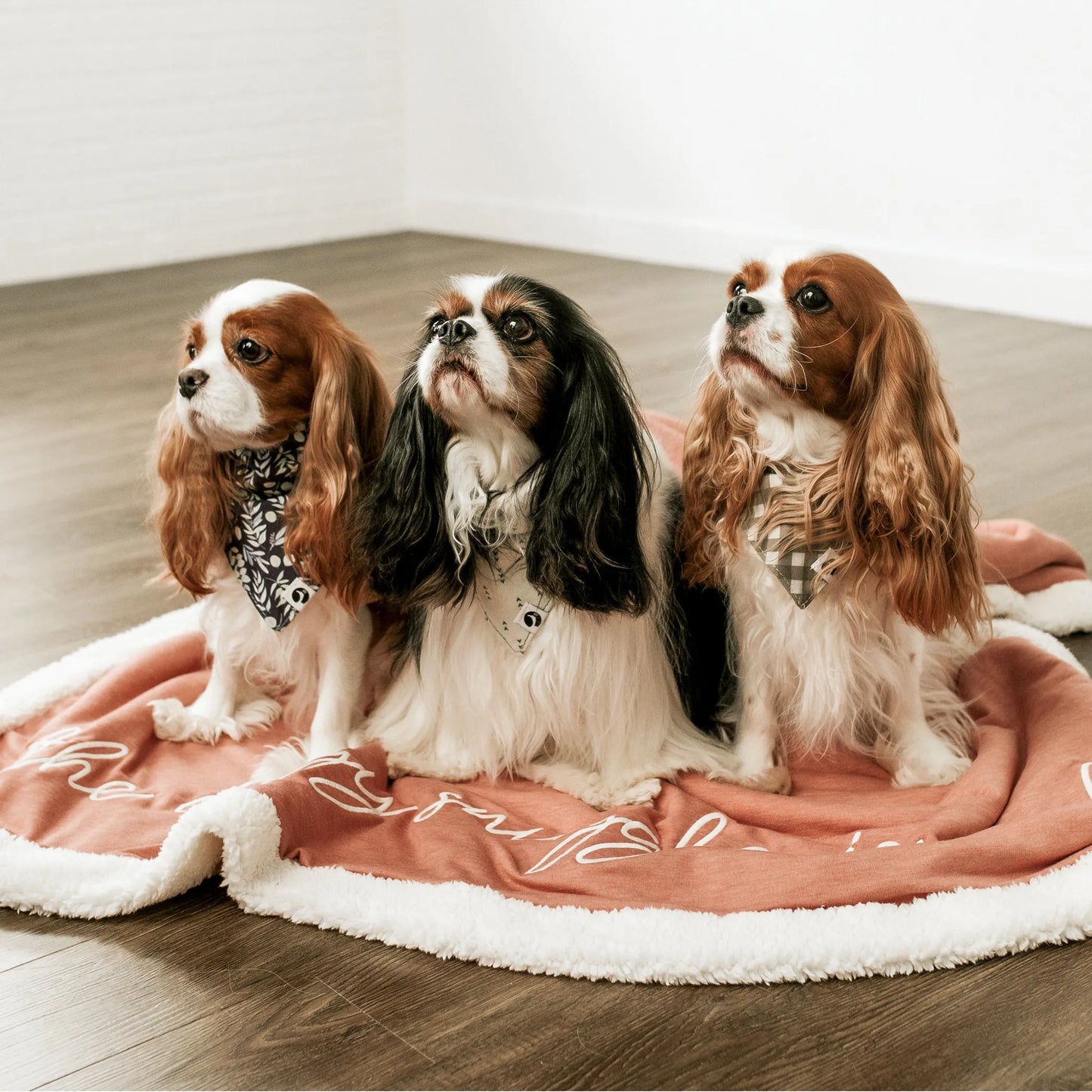 Wag & Wonder Cozy Fleece Pet Blanket 60x50