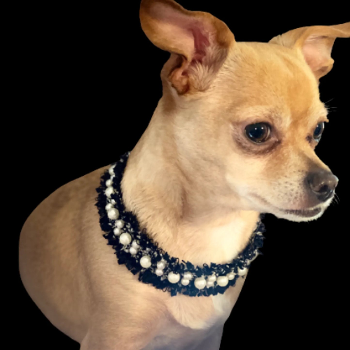 Bark Fifth Avenue Pearl Tweed Dog Collar XS