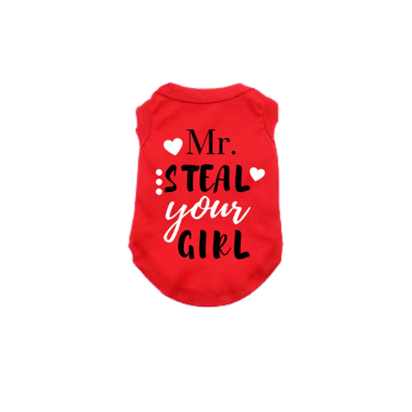 Mr. Steal Your Girl - Your Pet Connection