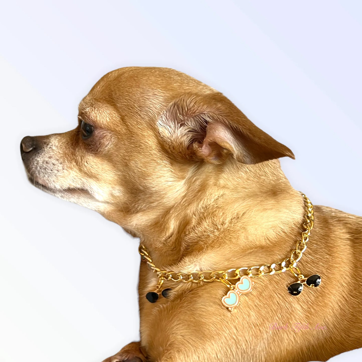 My Summertime Aviator Charm Toggle Necklace - Your Pet Connection
