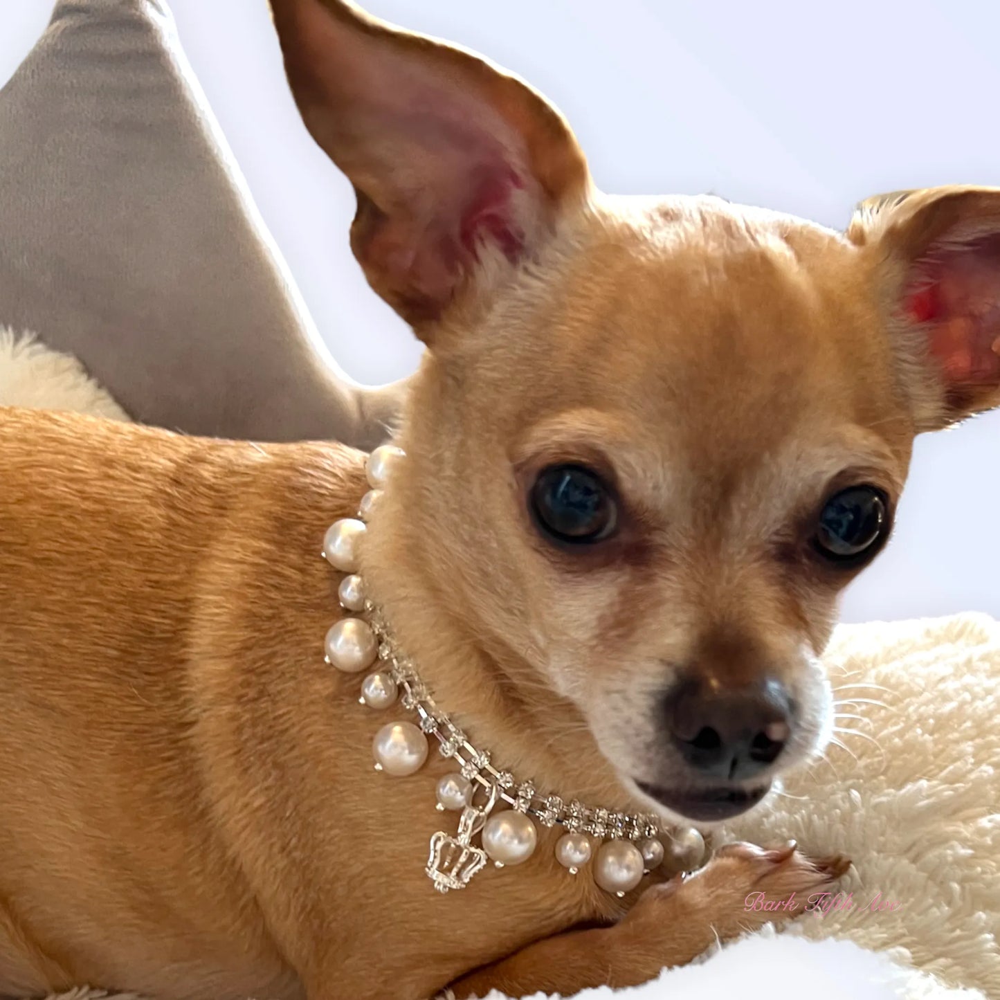 Rhinestone & Pearl Crown Necklace - Your Pet Connection