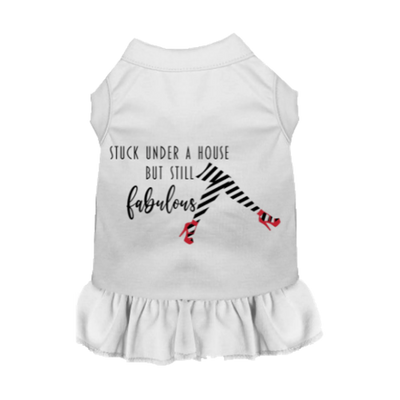 Still Fabulous Dress - Your Pet Connection