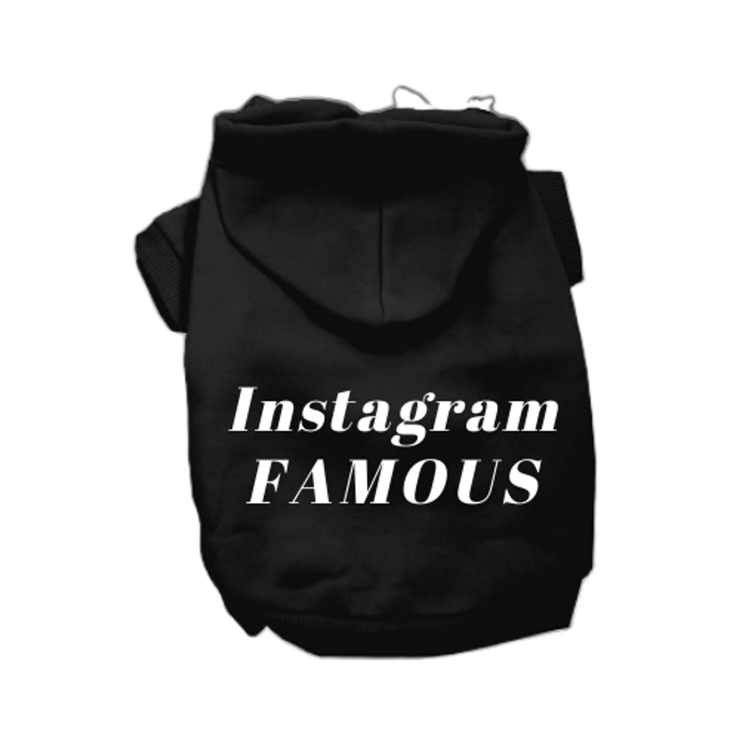 IG Famous Hoodie - Your Pet Connection