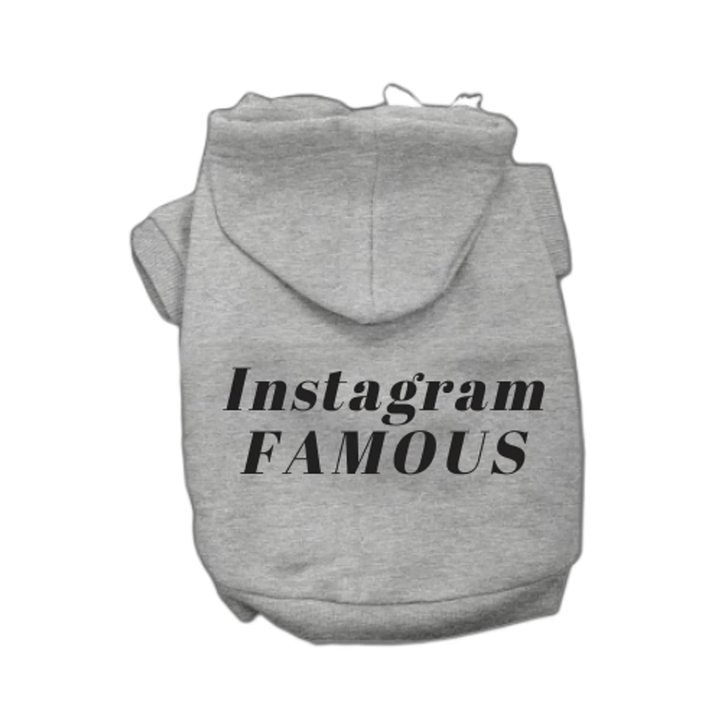 IG Famous Hoodie - Your Pet Connection