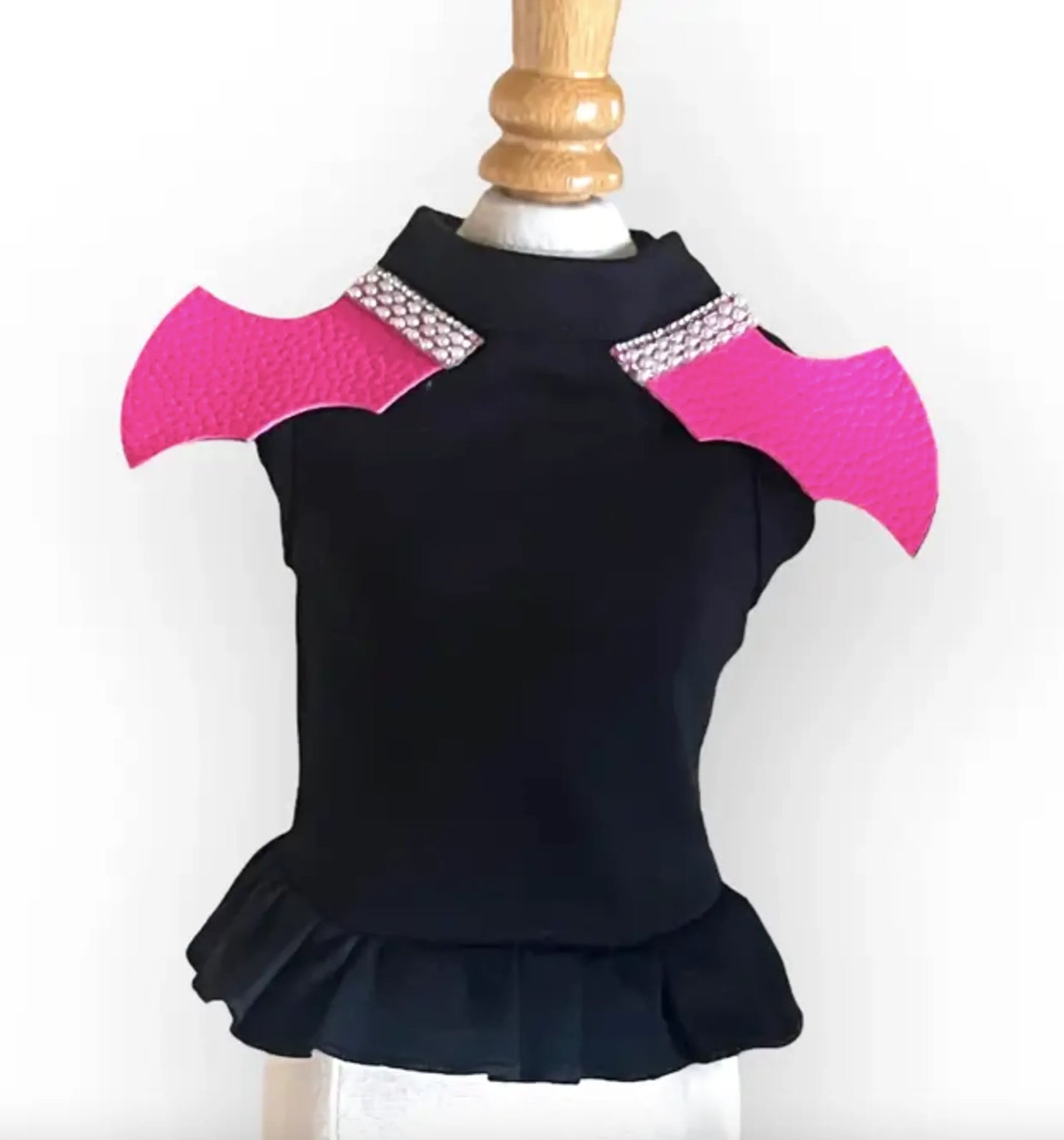 Lightning Bolt Sweatshirt and Tee - Your Pet Connection
