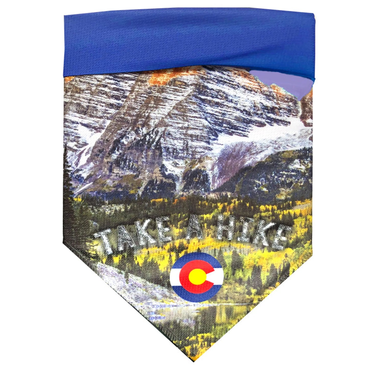 Sport Bandana - Your Pet Connection