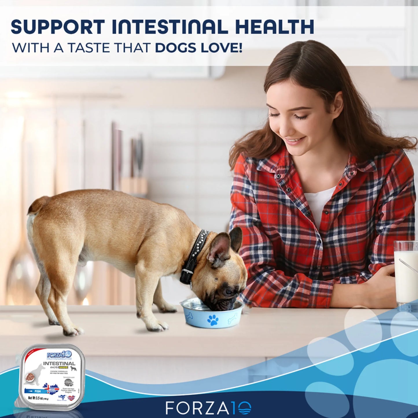 Forza10 Actiwet Intestinal Support Icelandic Fish Recipe Canned Dog Food - Your Pet Connection