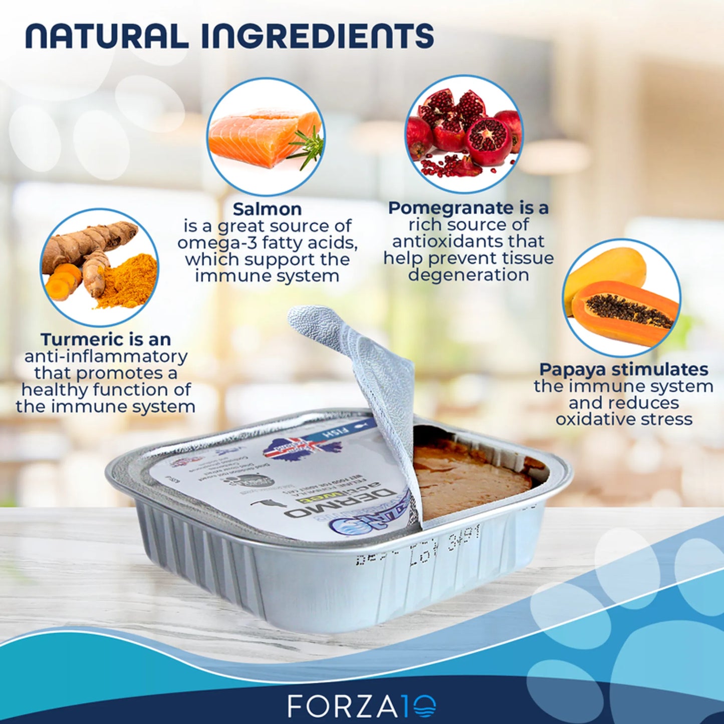 Forza10 ActiWet Dermo Support Icelandic Fish Recipe Canned Cat Food - Your Pet Connection