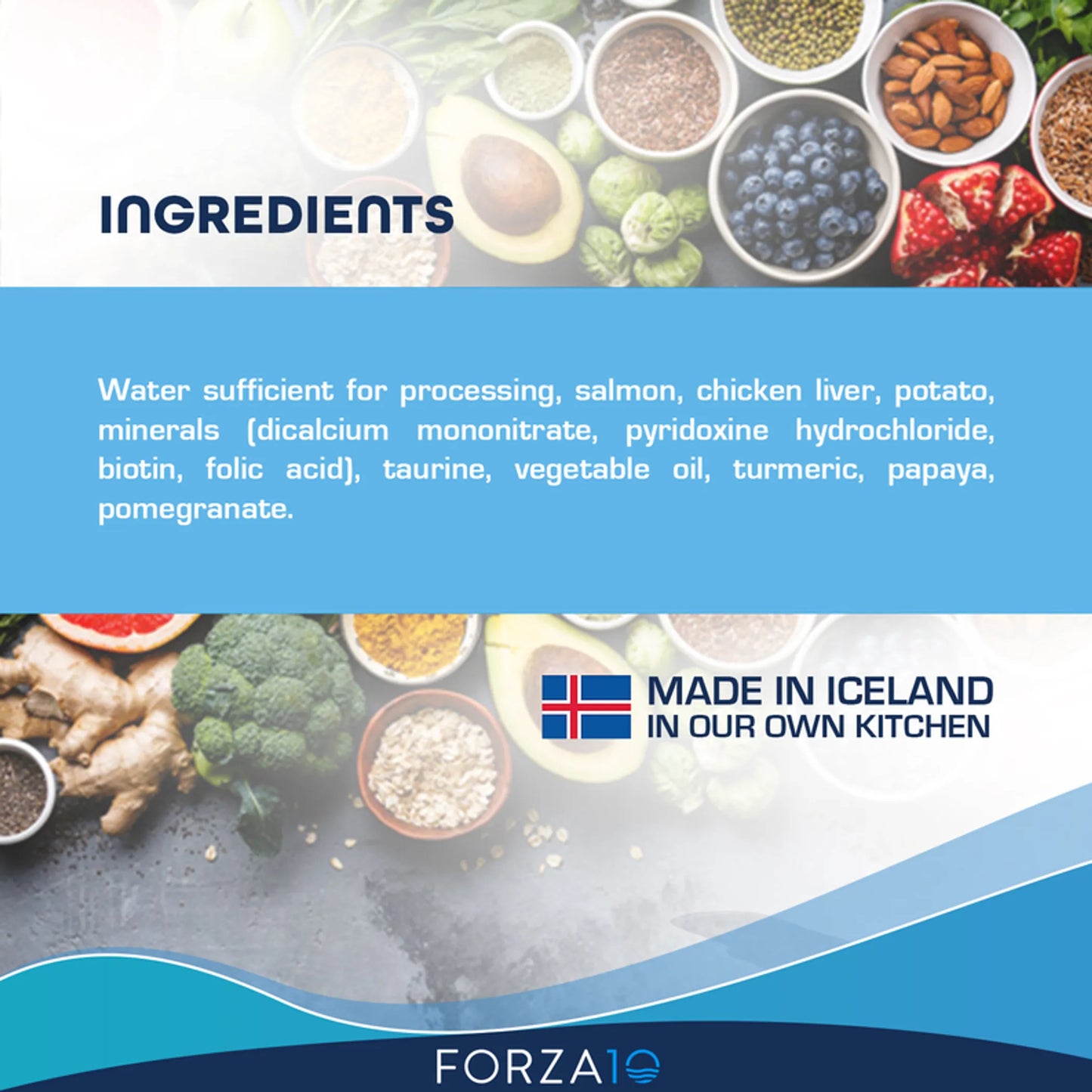 Forza10 ActiWet Dermo Support Icelandic Fish Recipe Canned Cat Food - Your Pet Connection