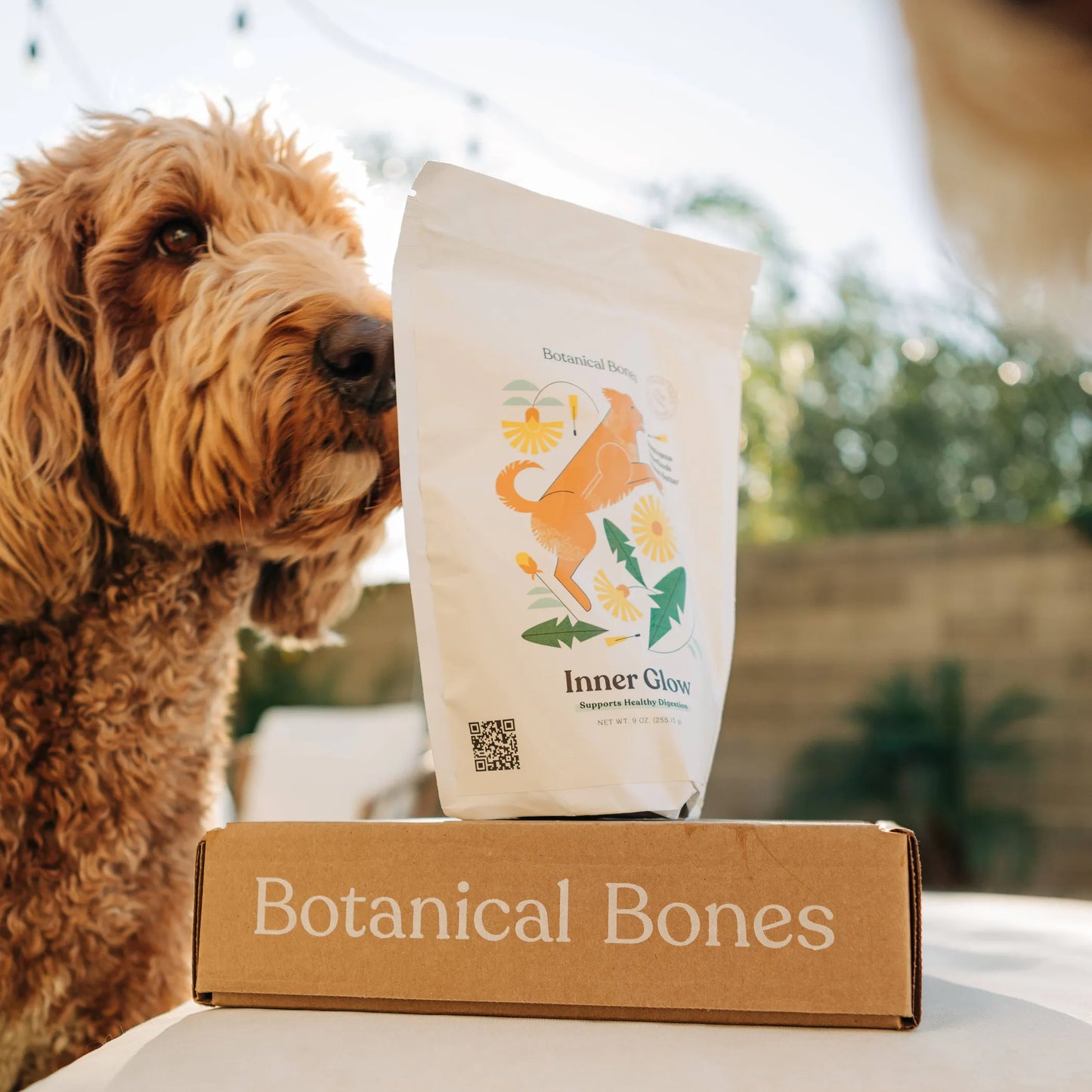 Bulk Treats - Superfood Dog Treat | Jar Refills - Your Pet Connection