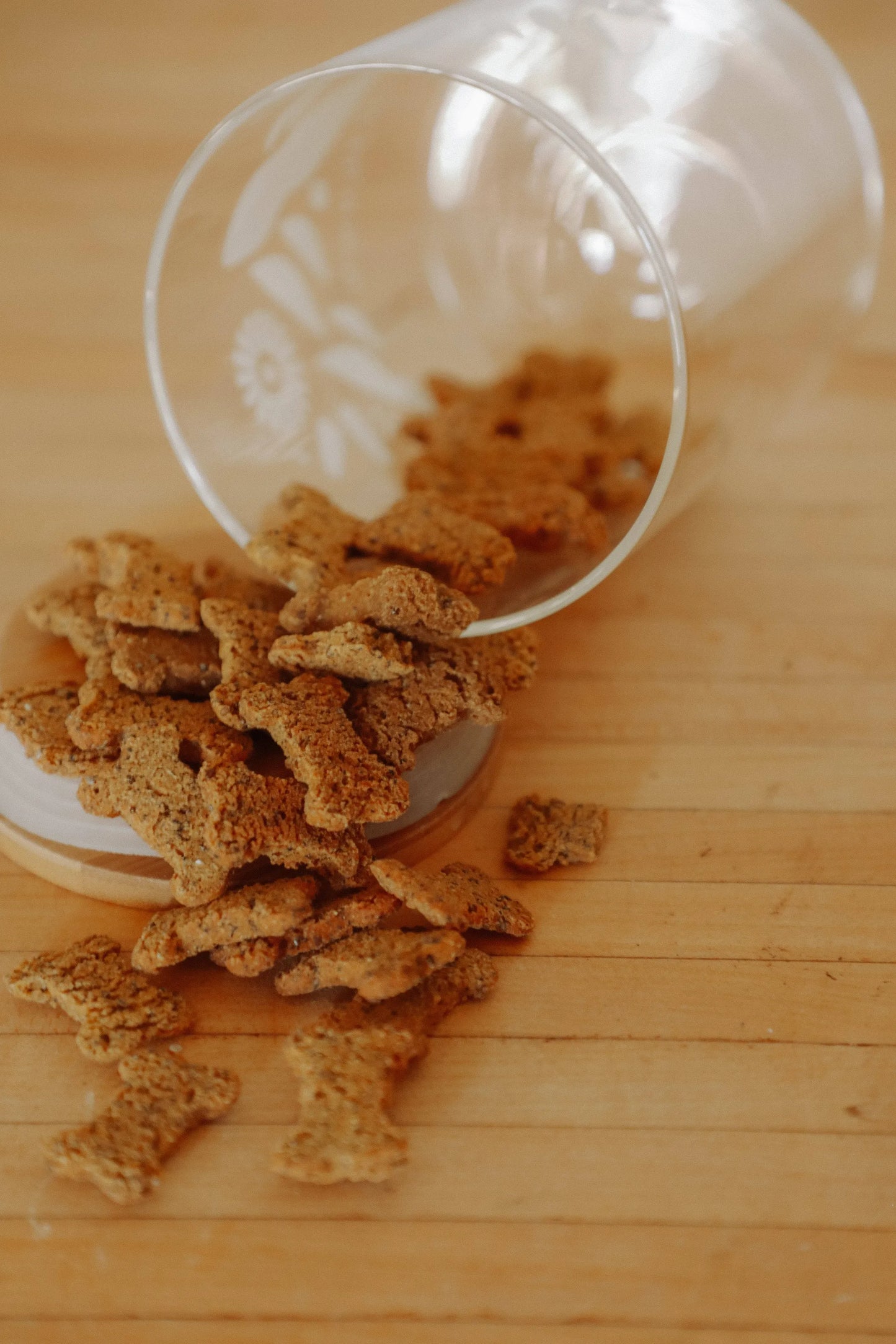 Bulk Treats - Superfood Dog Treat | Jar Refills - Your Pet Connection