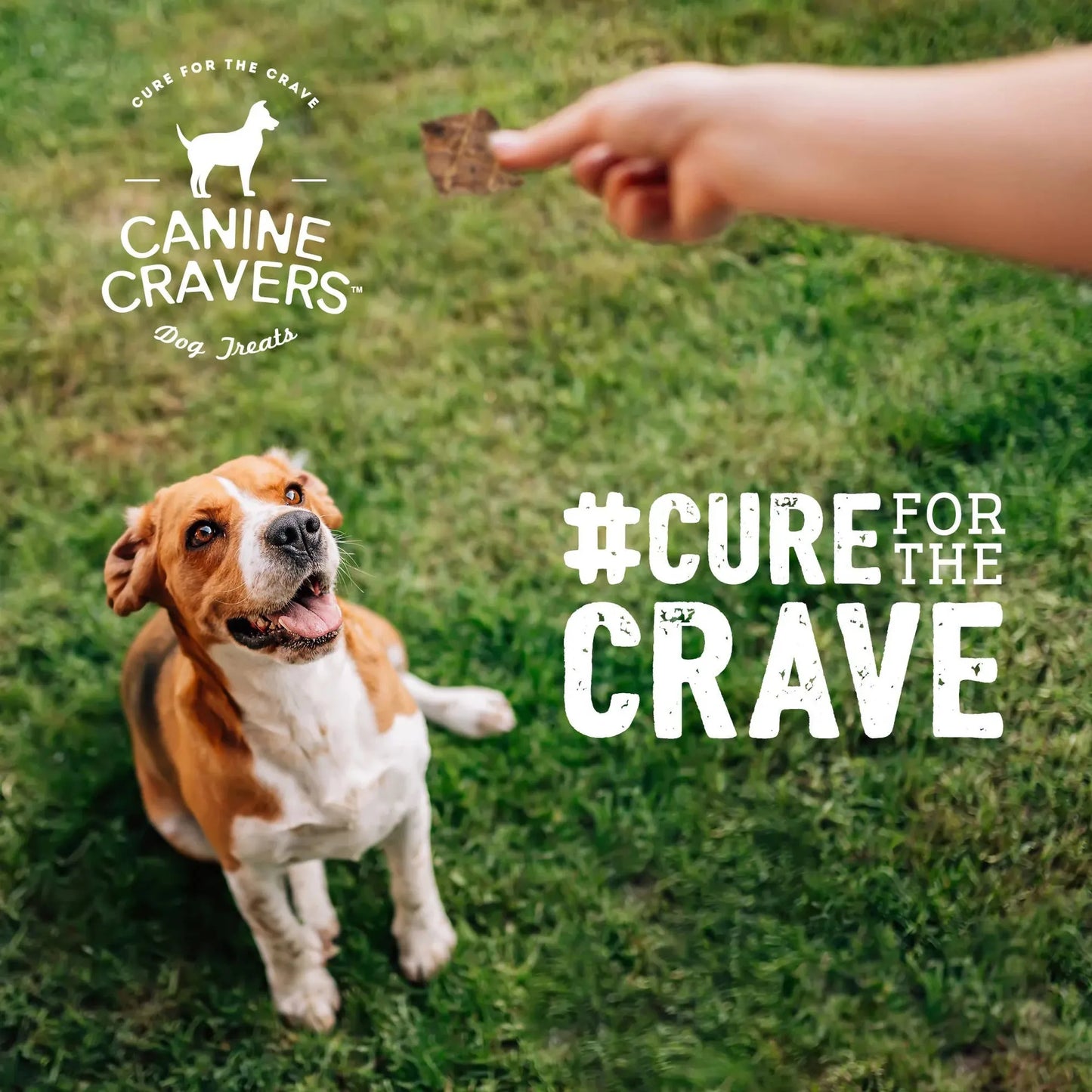 Pure Pals Natural Lamb Dog Treats 5.3 oz