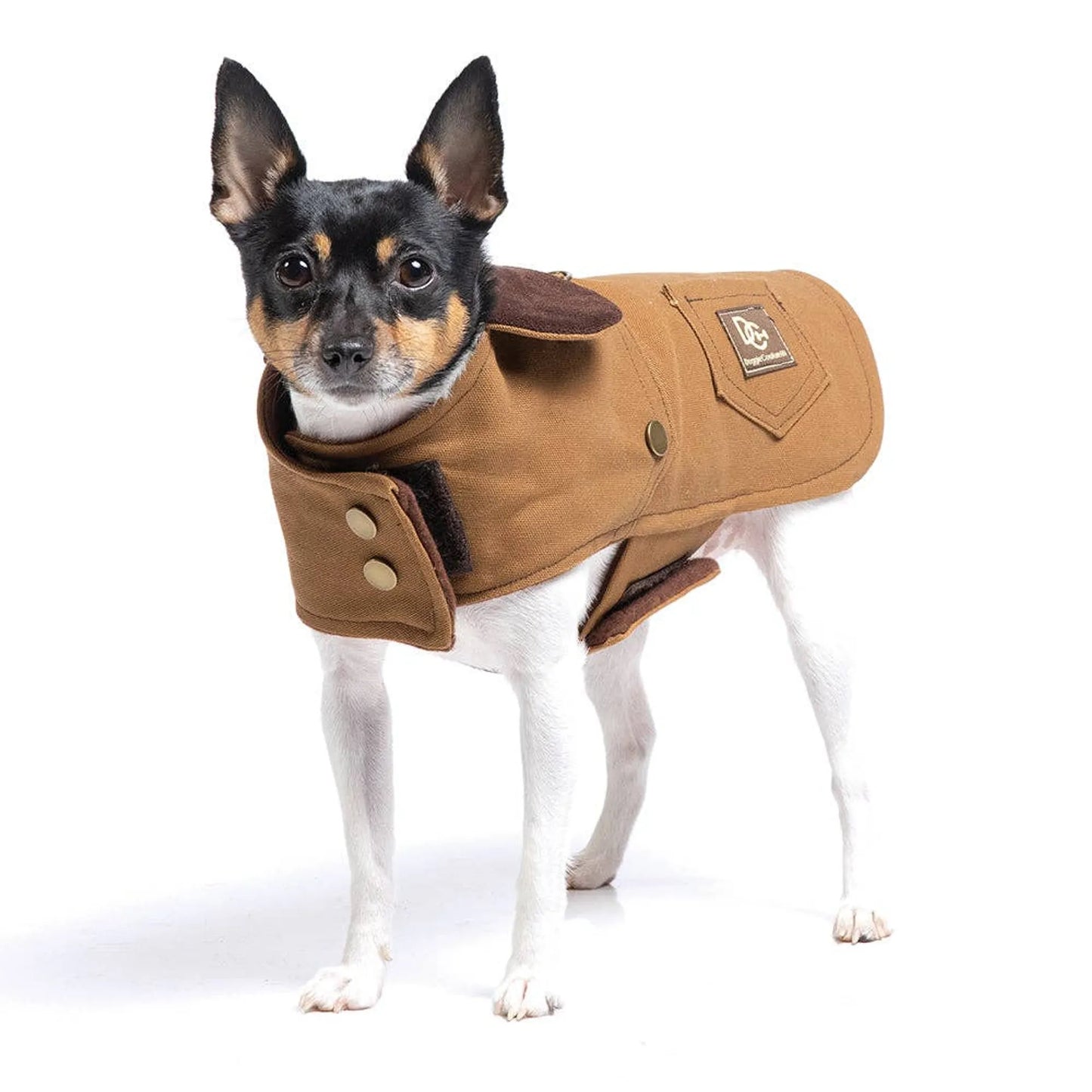 DCNY Canyon Working Coat - Your Pet Connection