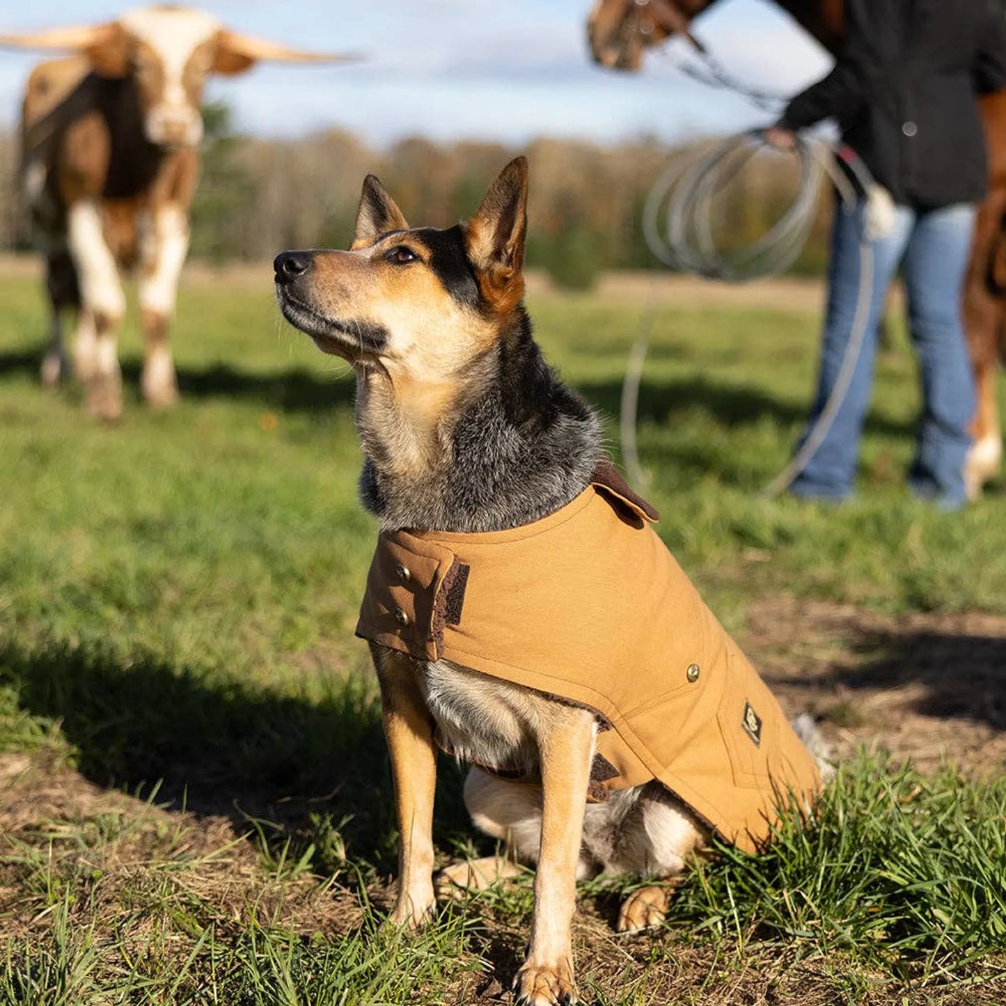 DCNY Canyon Working Coat - Your Pet Connection