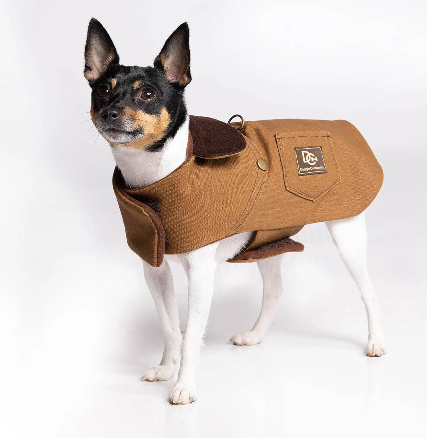 DCNY Canyon Working Coat - Your Pet Connection