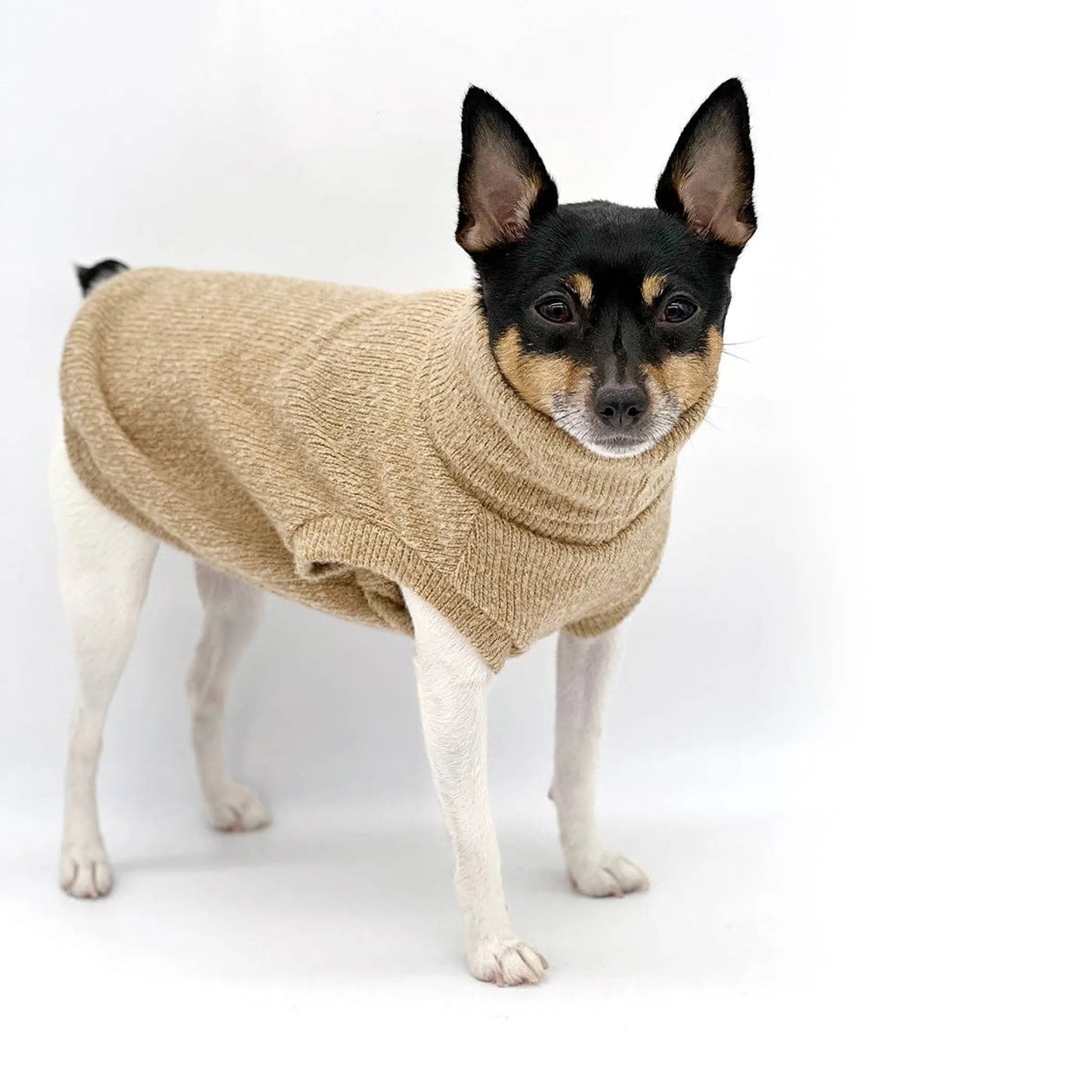 DoggieCoutureNY Café Latte Dog Sweater