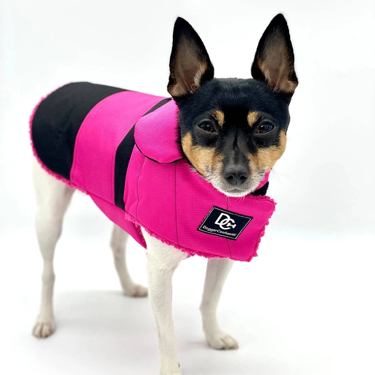 DoggieCoutureNY Water Resistant Coat - Your Pet Connection