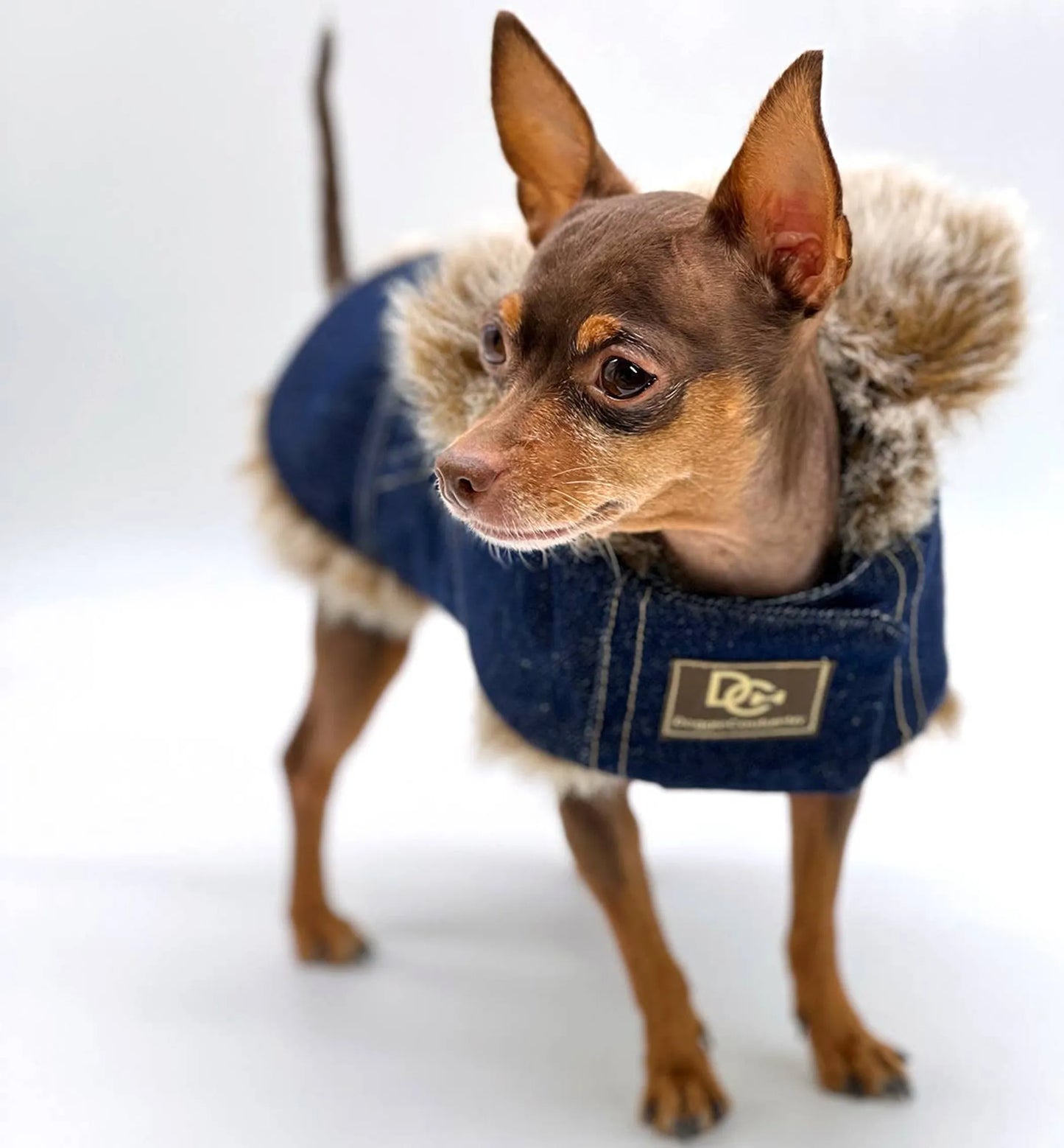 DCNY Faux Fur Denim Coat - Your Pet Connection