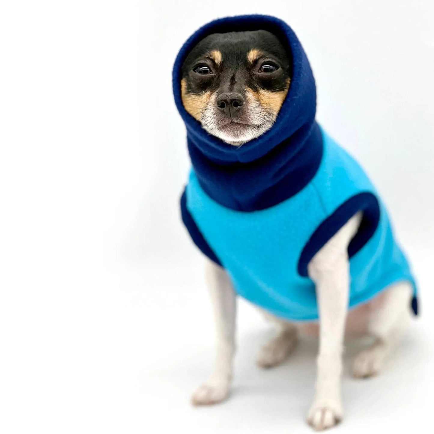 DCNY Two Tone Blue Longneck Sweater - Your Pet Connection