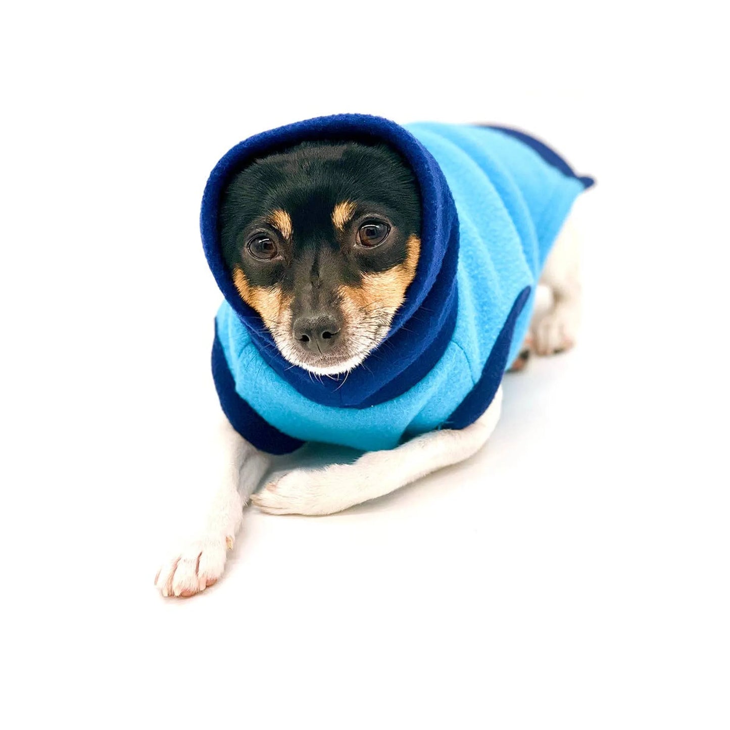 DCNY Two Tone Blue Longneck Sweater - Your Pet Connection
