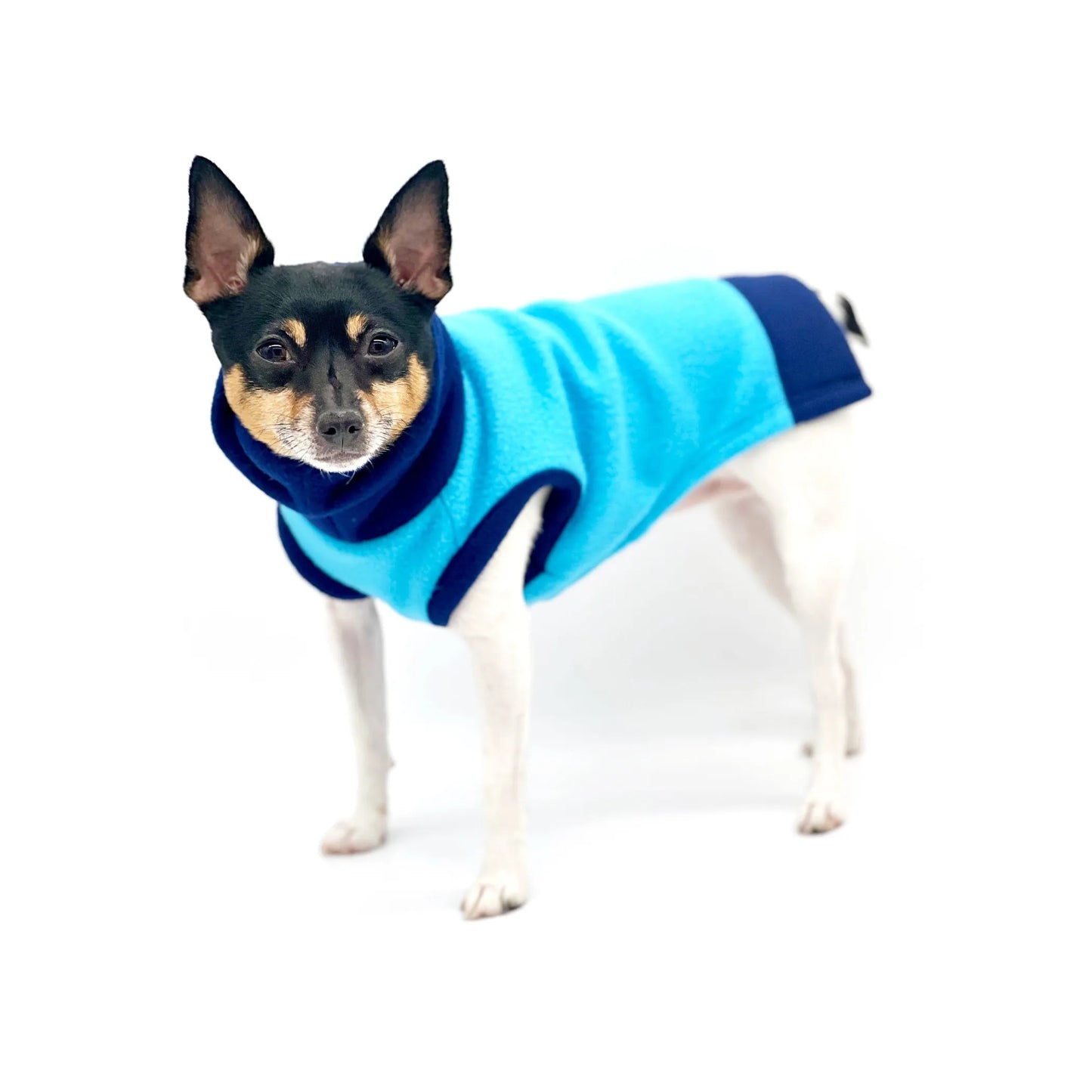 DCNY Two Tone Blue Longneck Sweater - Your Pet Connection