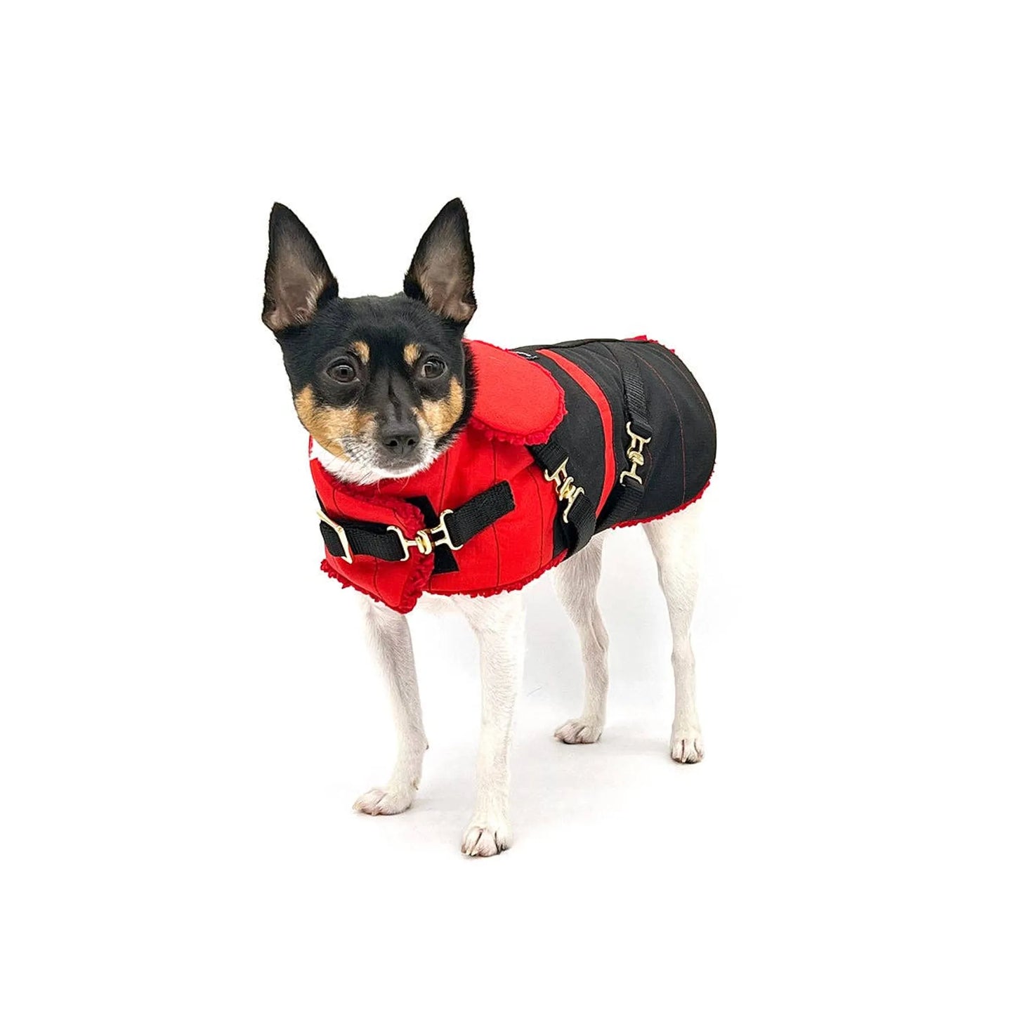 "Ruby Red" - DCNY Equestrian Collection - Your Pet Connection