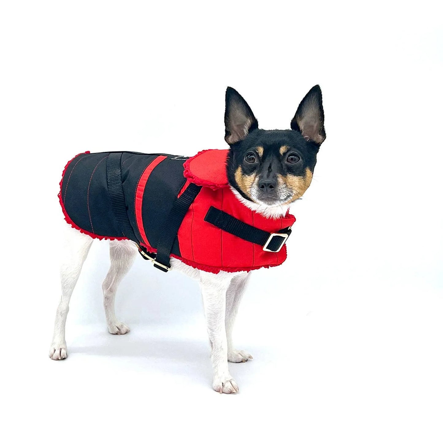 "Ruby Red" - DCNY Equestrian Collection - Your Pet Connection