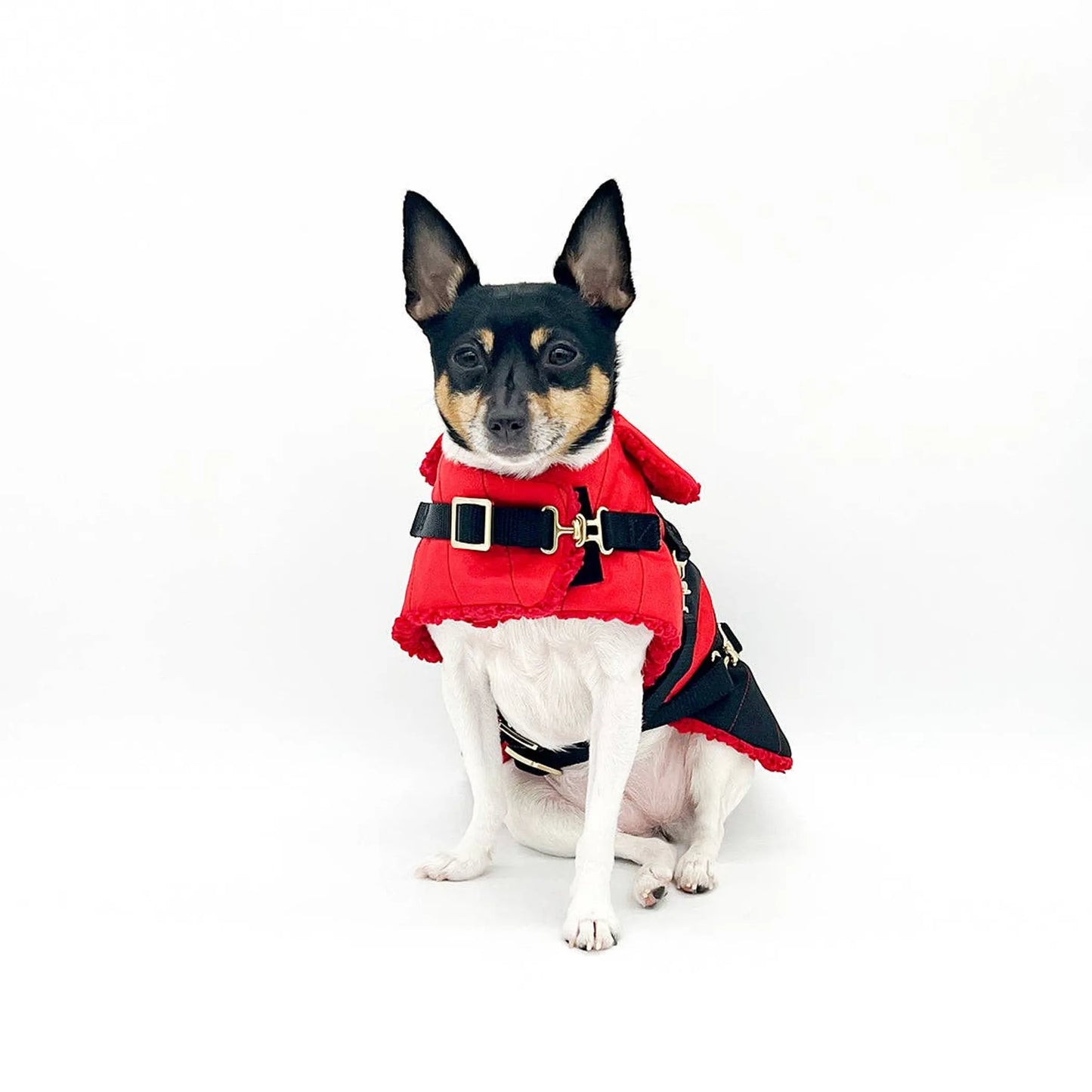 "Ruby Red" - DCNY Equestrian Collection - Your Pet Connection