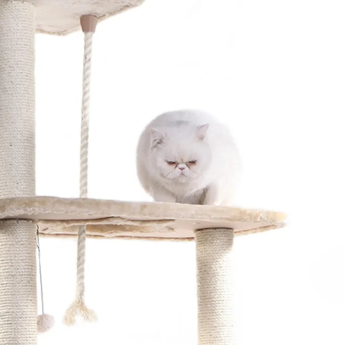 Armarkat Natural Sisal Scratching Cat Tree 58 Height BGE - Your Pet Connection