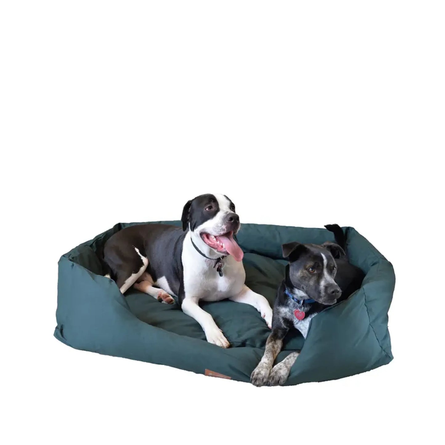 Armarkat Bolstered Dog Bed, Anti-Slip Pet Bed, Laurel Green - Your Pet Connection