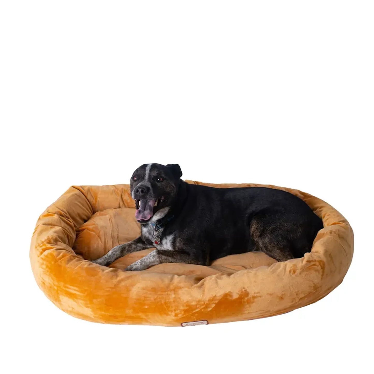 AeroMark Armarkat D02CZS Velvet Pet Bed Small