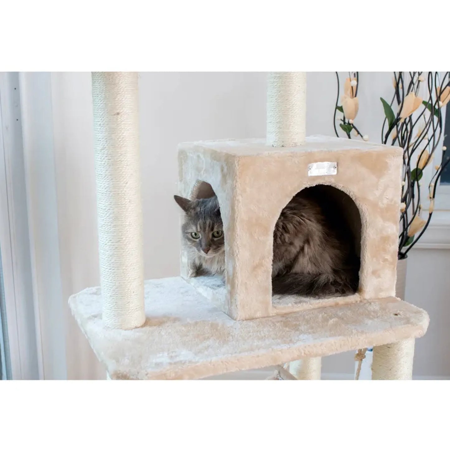 GleePet 57" H Cat Tree Beige Real Wood Cat Indoor House - Your Pet Connection