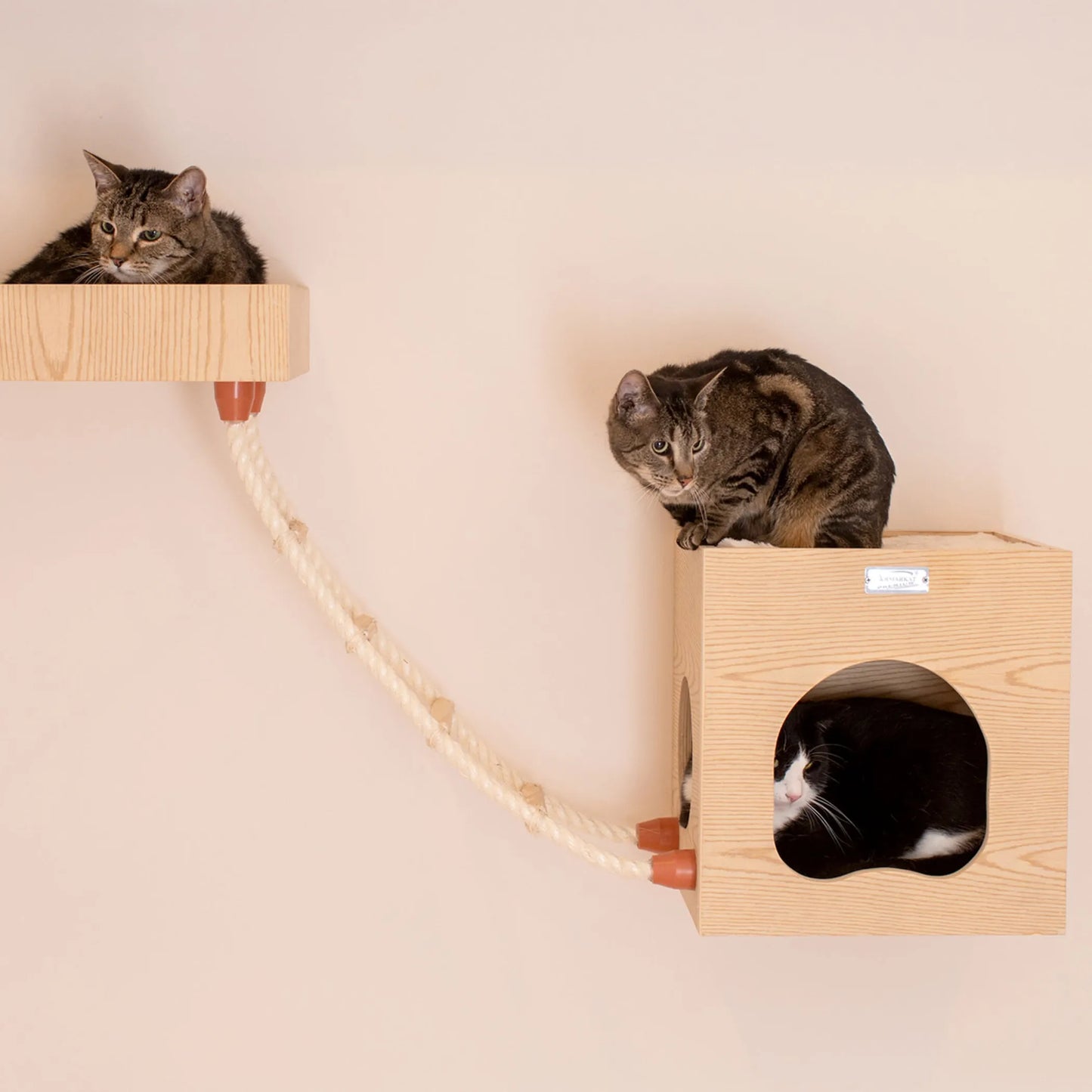 Wall Series: Tree W1907B W Condo, Perch And Soft Perch - Your Pet Connection