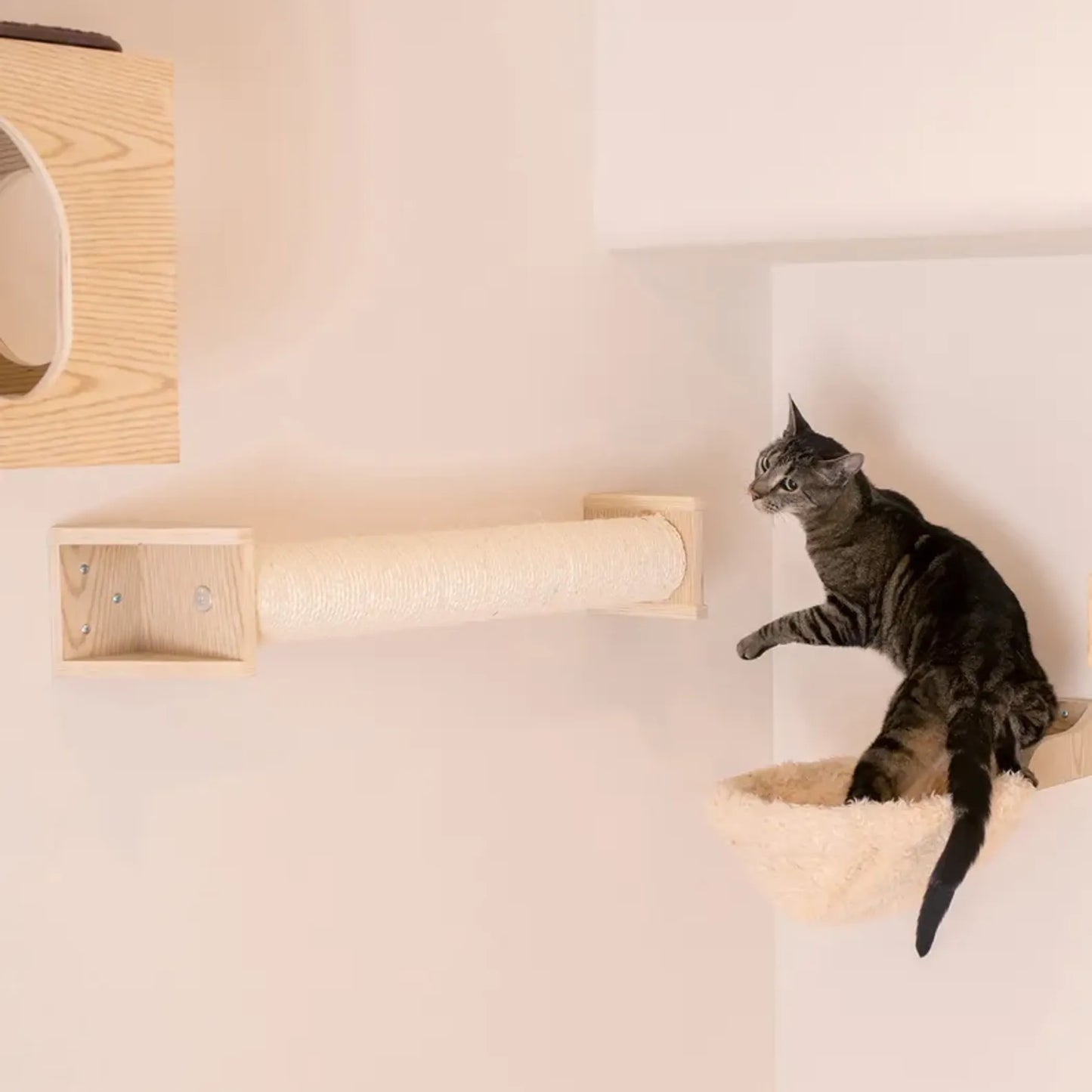Armarkat Wall Series: Scratching Post W1907D - Your Pet Connection