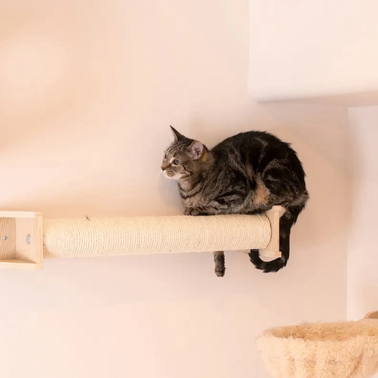 Armarkat Wall Series: Scratching Post W1907D - Your Pet Connection