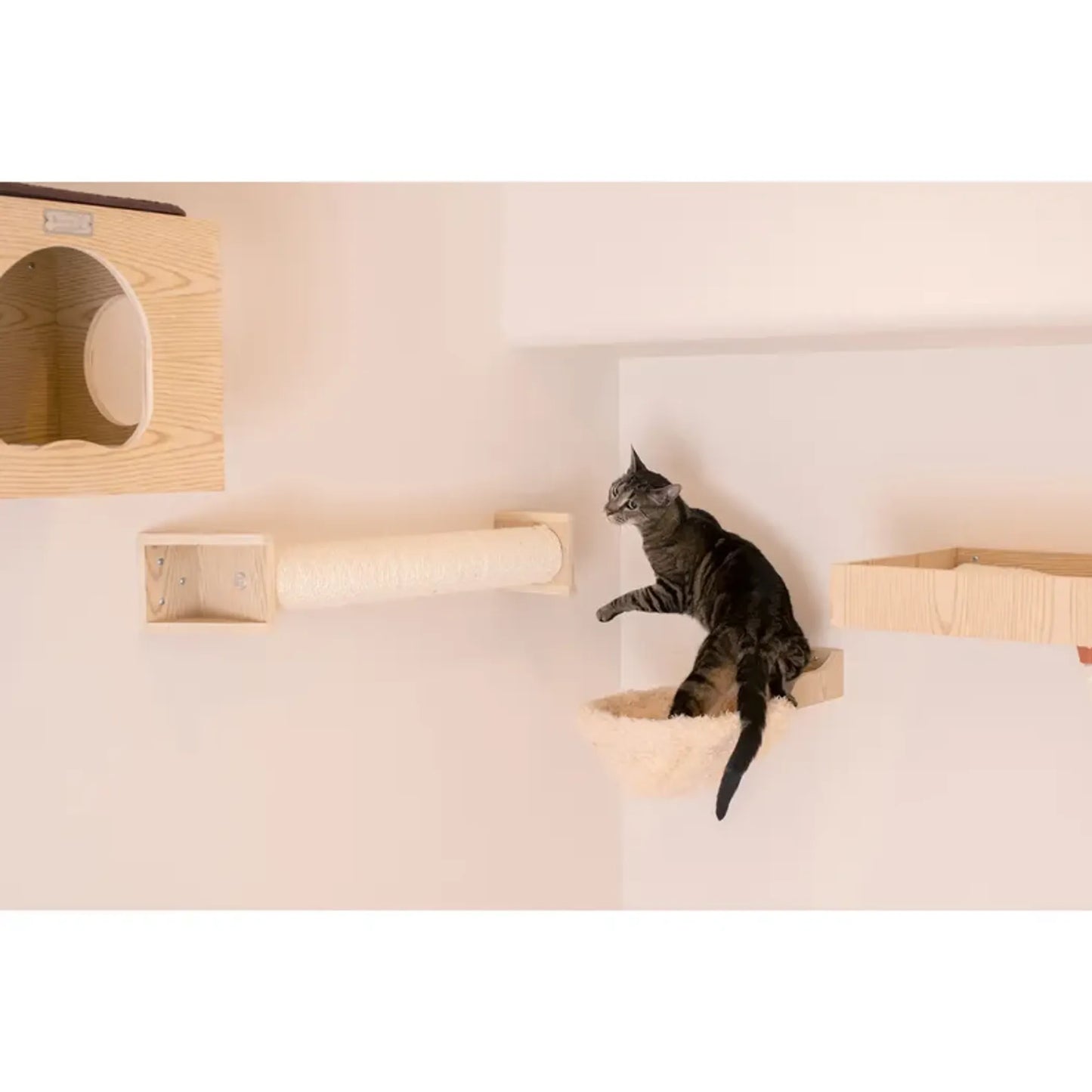 AeroMark Wall-Mounted Poplar Cat Scratcher 30" x 6"