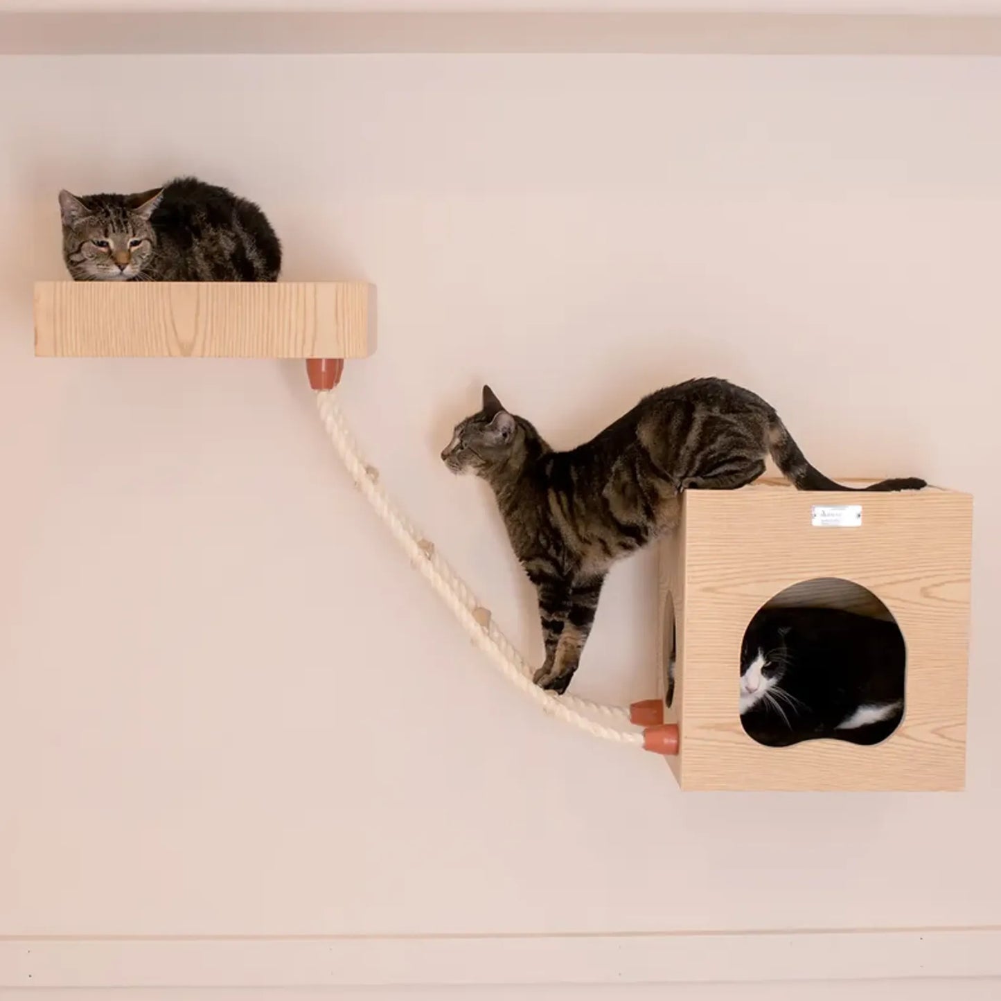 Armarkat Wall Series: Soft Ladder W1907E - Your Pet Connection