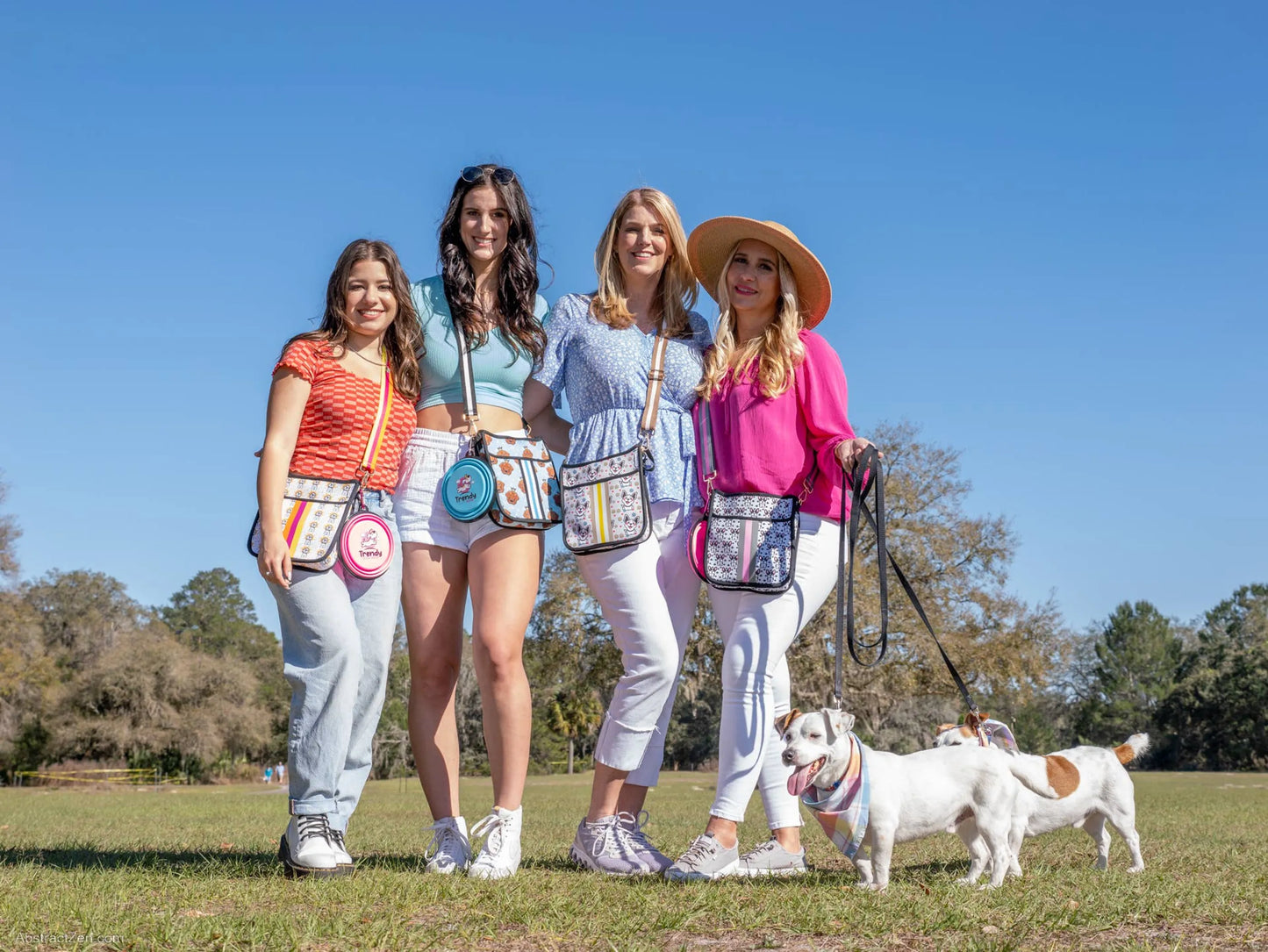 Space Dog - Dog Walking Bag - Your Pet Connection