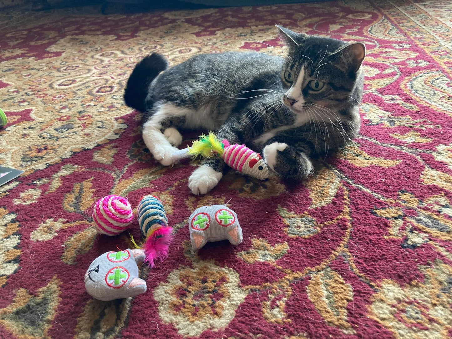 Smokey's Stash Catnip Toys and Sisal Mouse - Your Pet Connection