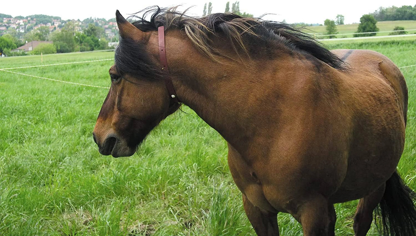 ALZOO Herbal Horse Collar - Your Pet Connection