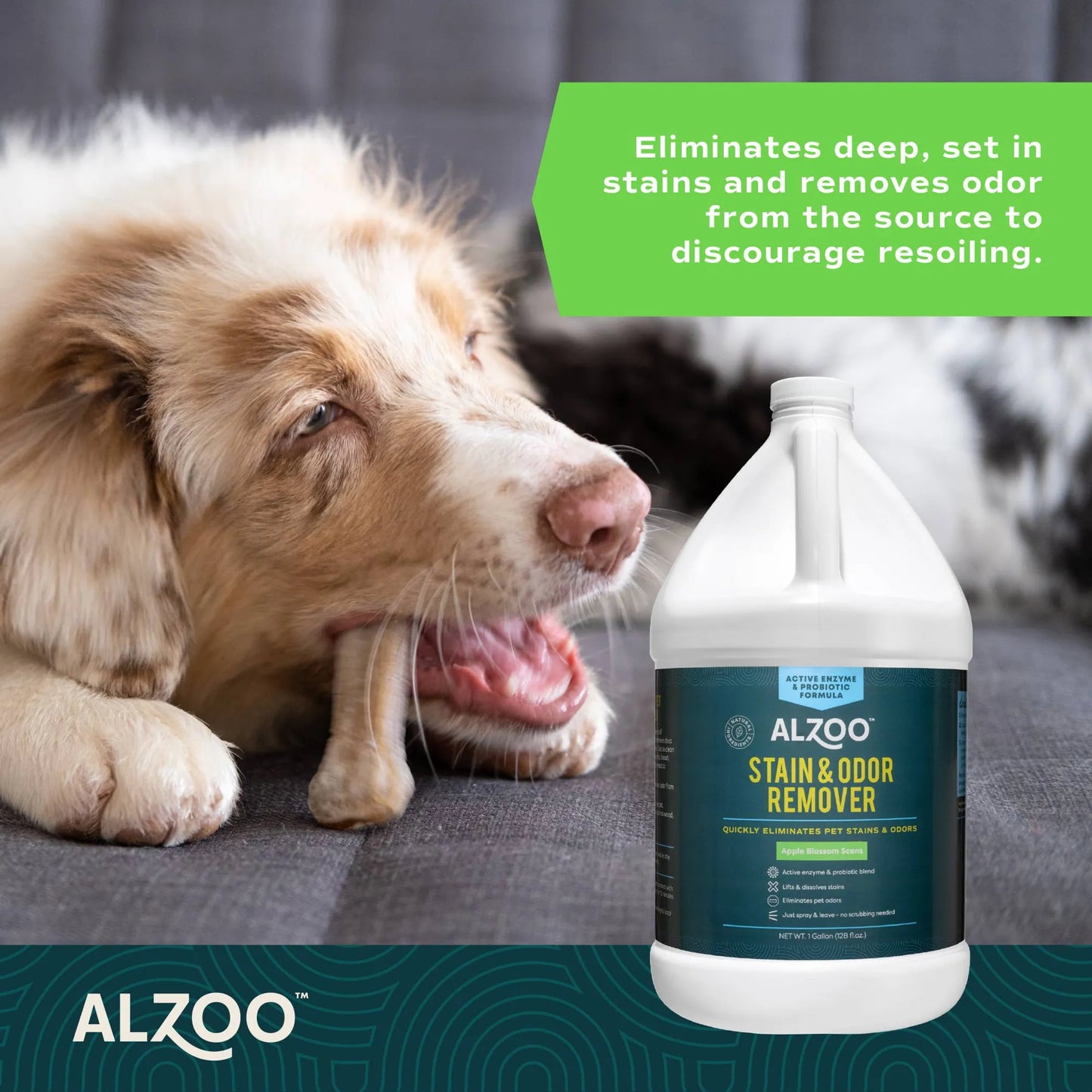 ALZOO Enzymatic Stain & Odor Remover Apple Blossom, 32oz - Your Pet Connection