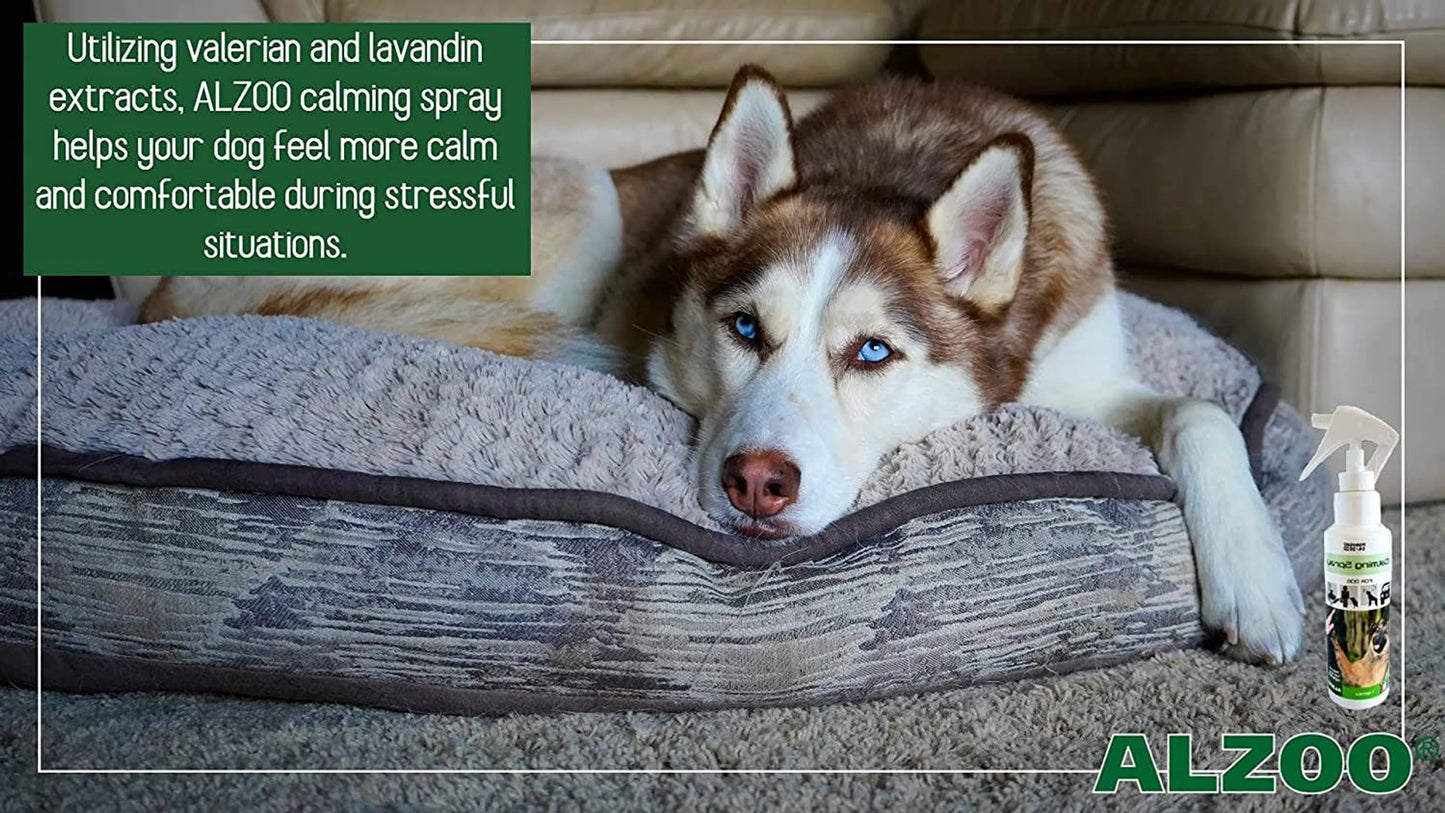 ALZOO Plant-Based Calming Spray Dog - Your Pet Connection