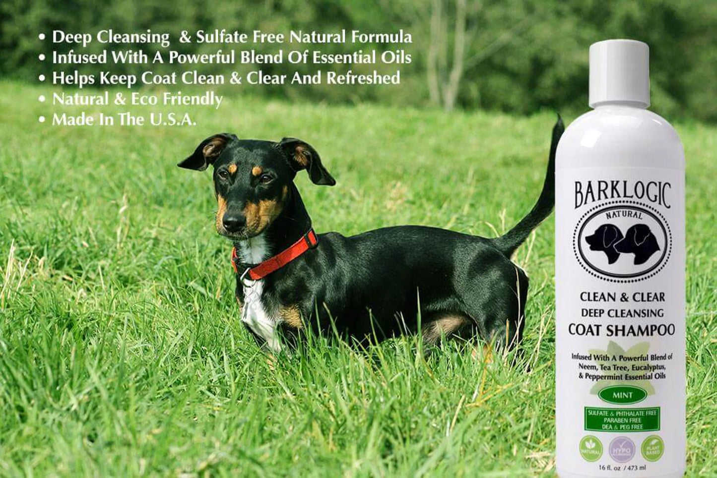 BarkLogic Clean & Clear Deep Cleansing Coat Shampoo - Your Pet Connection