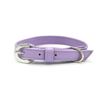Lavender Cactus Collar - Your Pet Connection