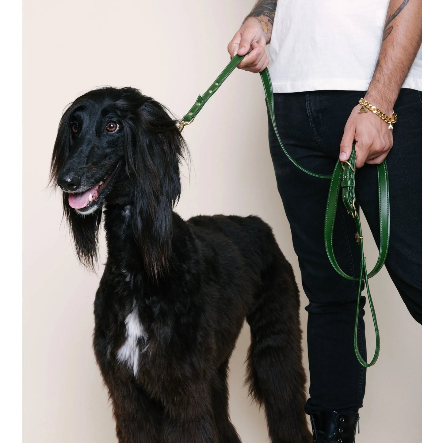 Olive Cactus Leash - Your Pet Connection