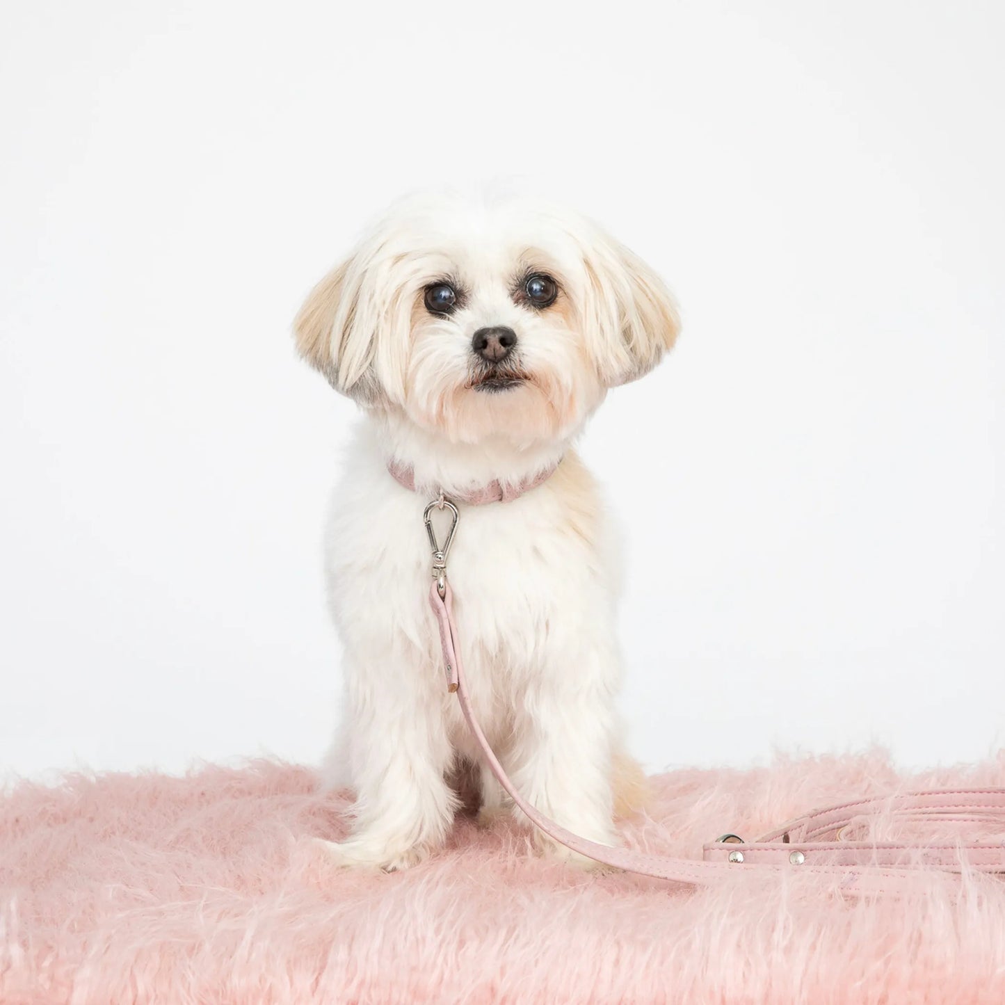 Love Pink Cork Leather Leash - Your Pet Connection