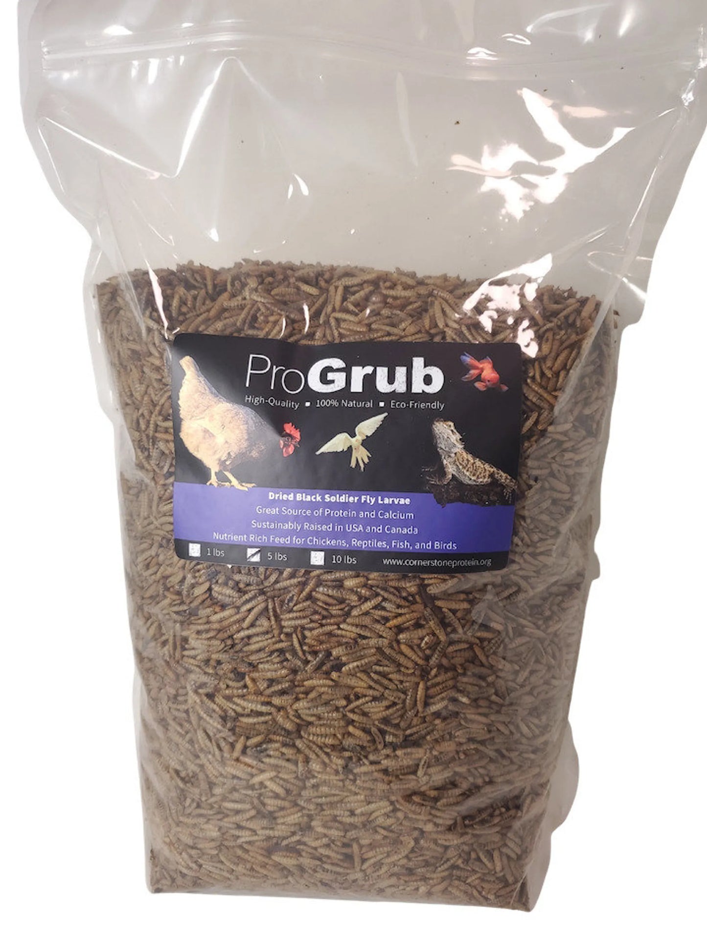 Dried Black Soldier Fly Larvae - Your Pet Connection