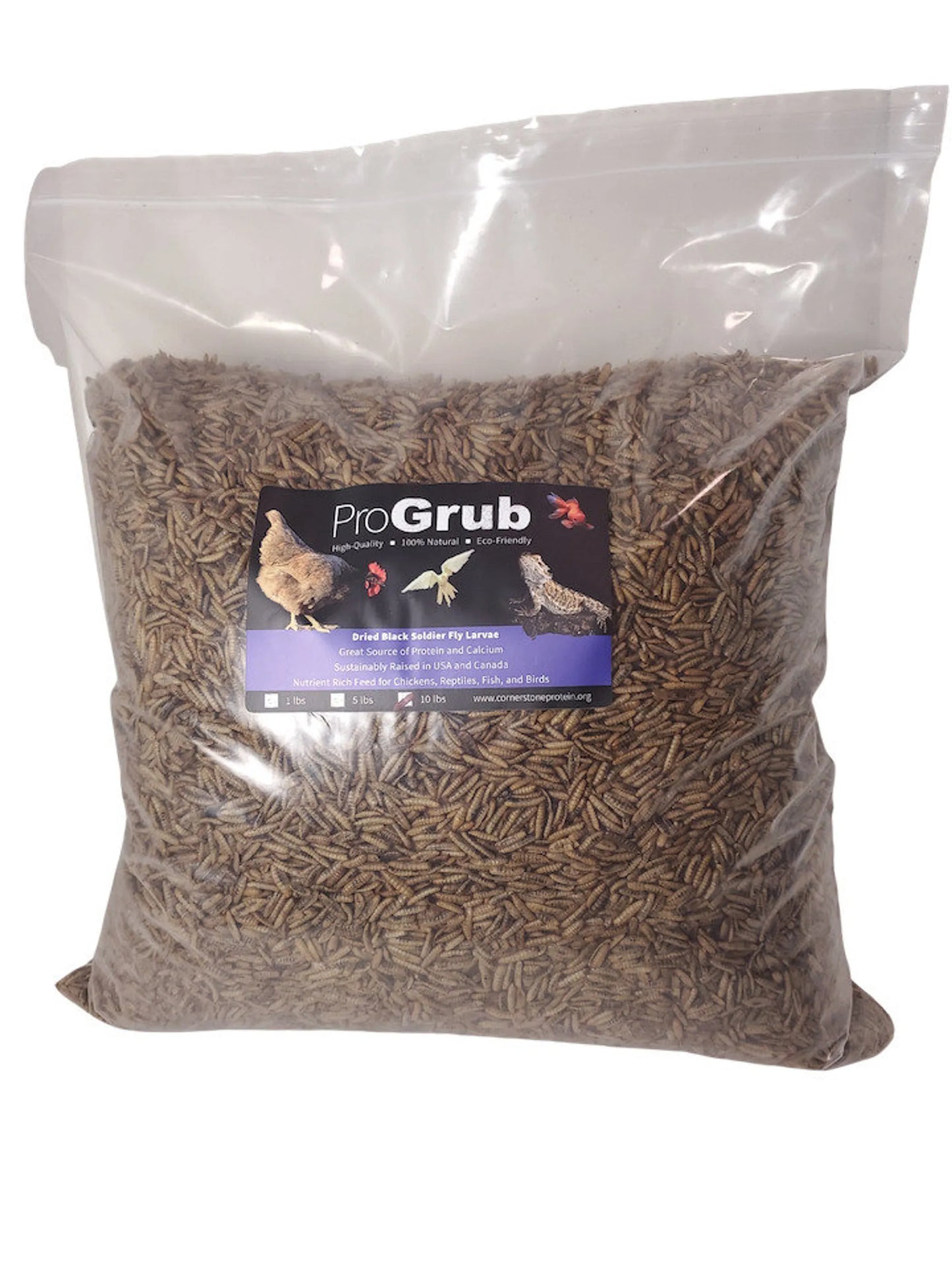 Dried Black Soldier Fly Larvae - Your Pet Connection