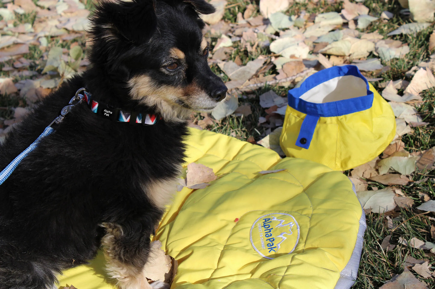 Eclipse Yellow Compressible Waterproof Dog Sleeping Mat - Your Pet Connection